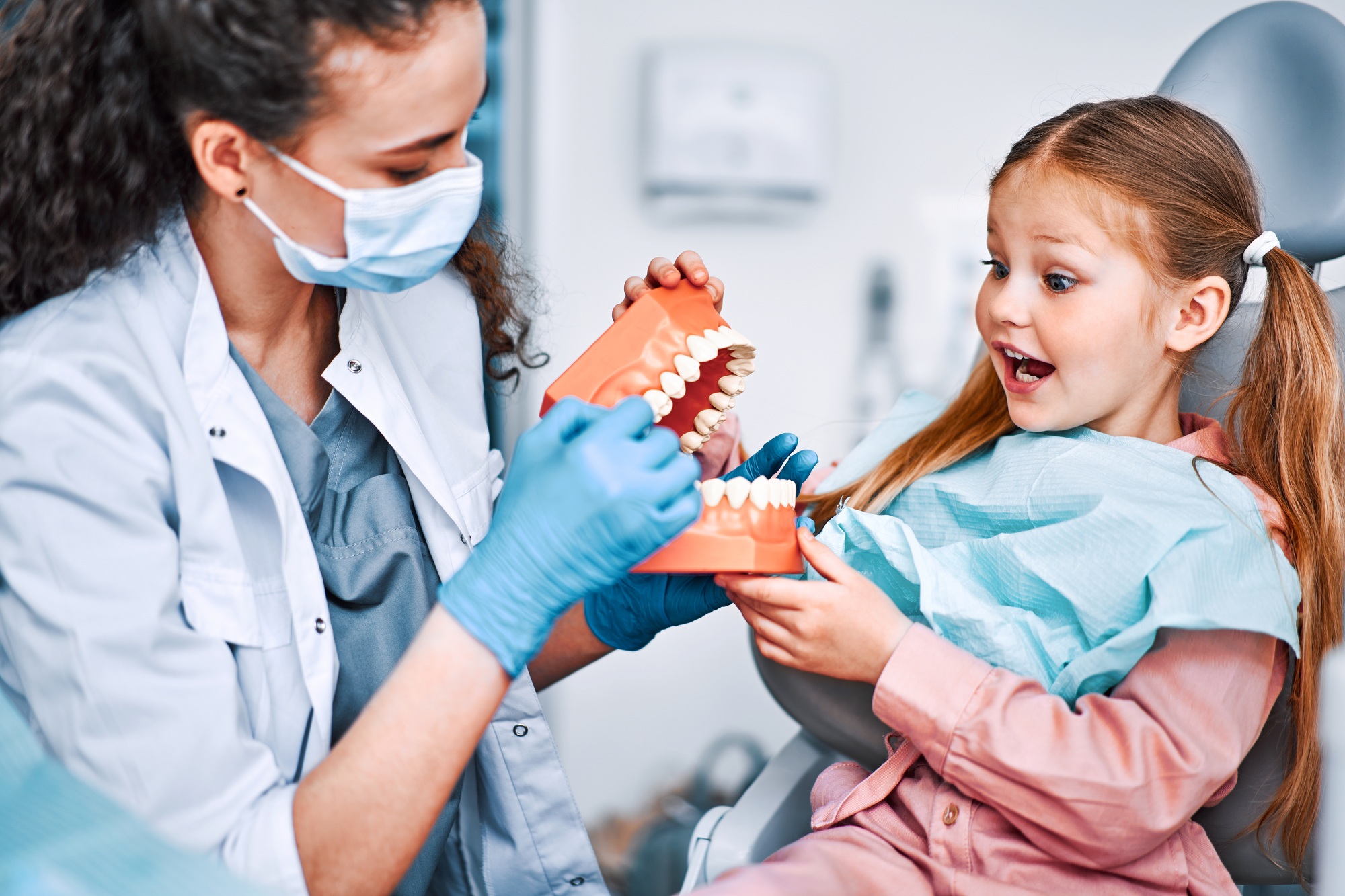 Children's dentistry. Cropped image of nurse holding mockup of jaw and talking about brushing teeth,