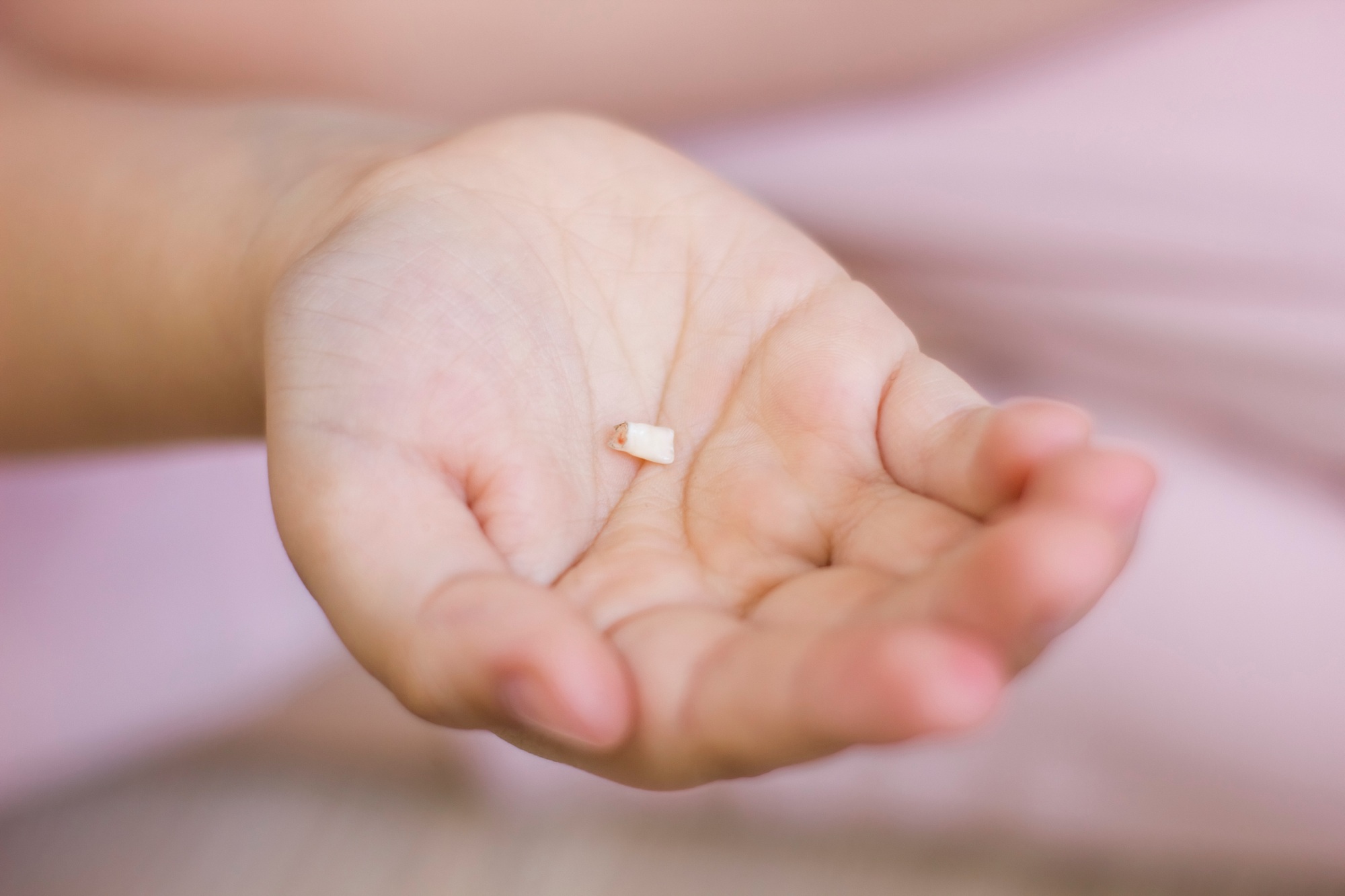 Closeup kids hand with milk tooth. First tooth lost.