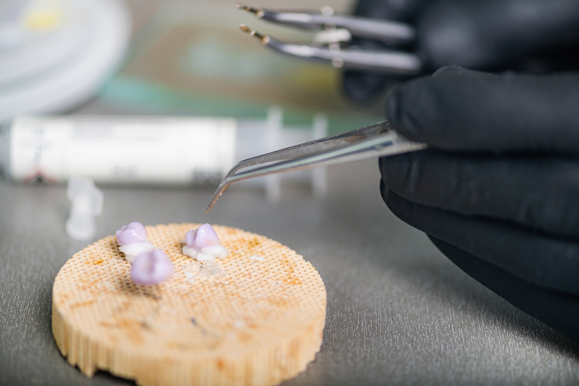 Teeth Prosthodontics. Teeth Crowns Prepared for Oven and Press.